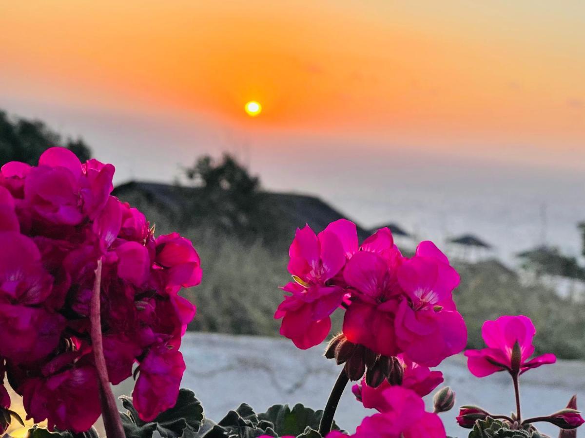 Oia Sunset House Pothitou别墅 外观 照片