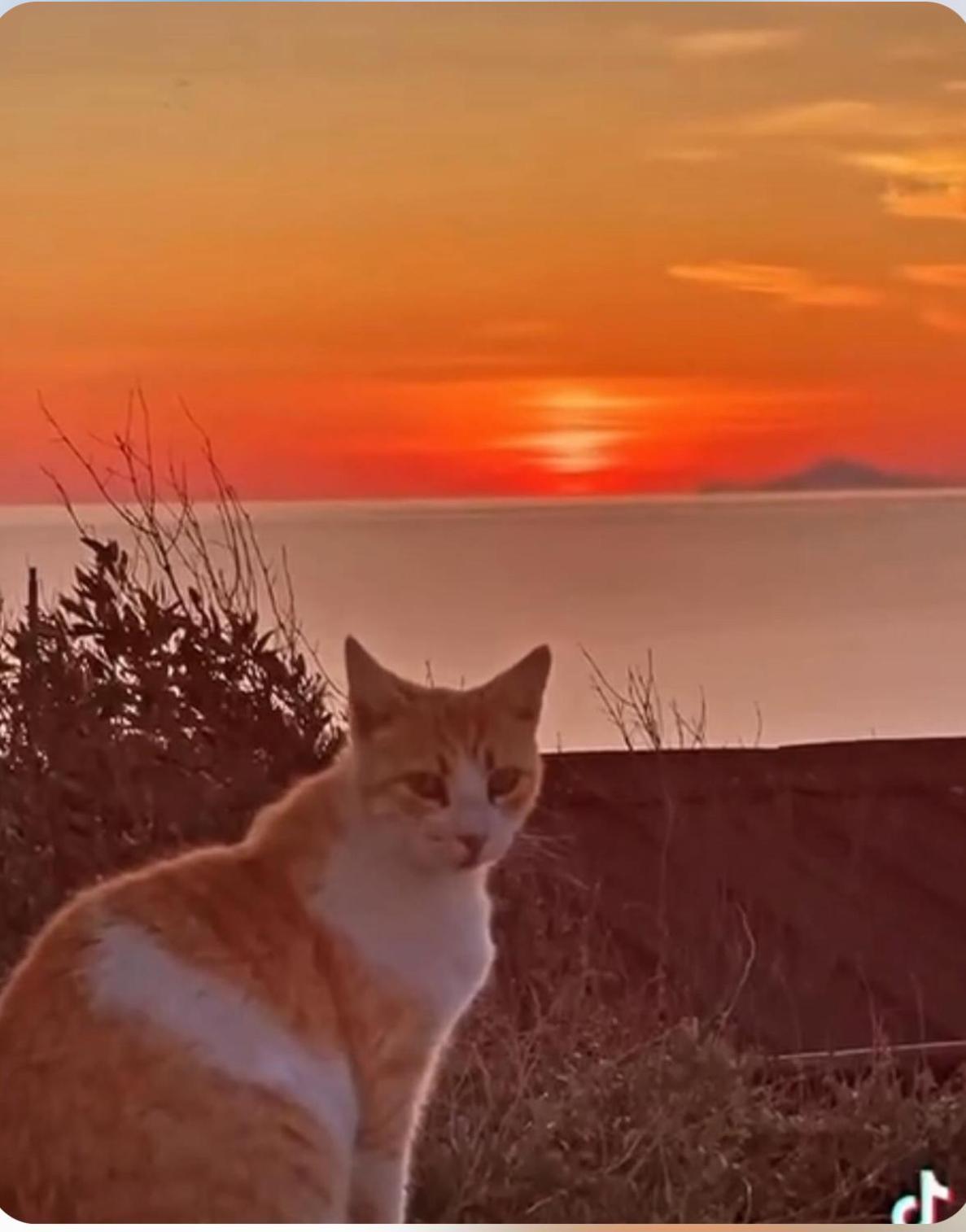 Oia Sunset House Pothitou别墅 外观 照片